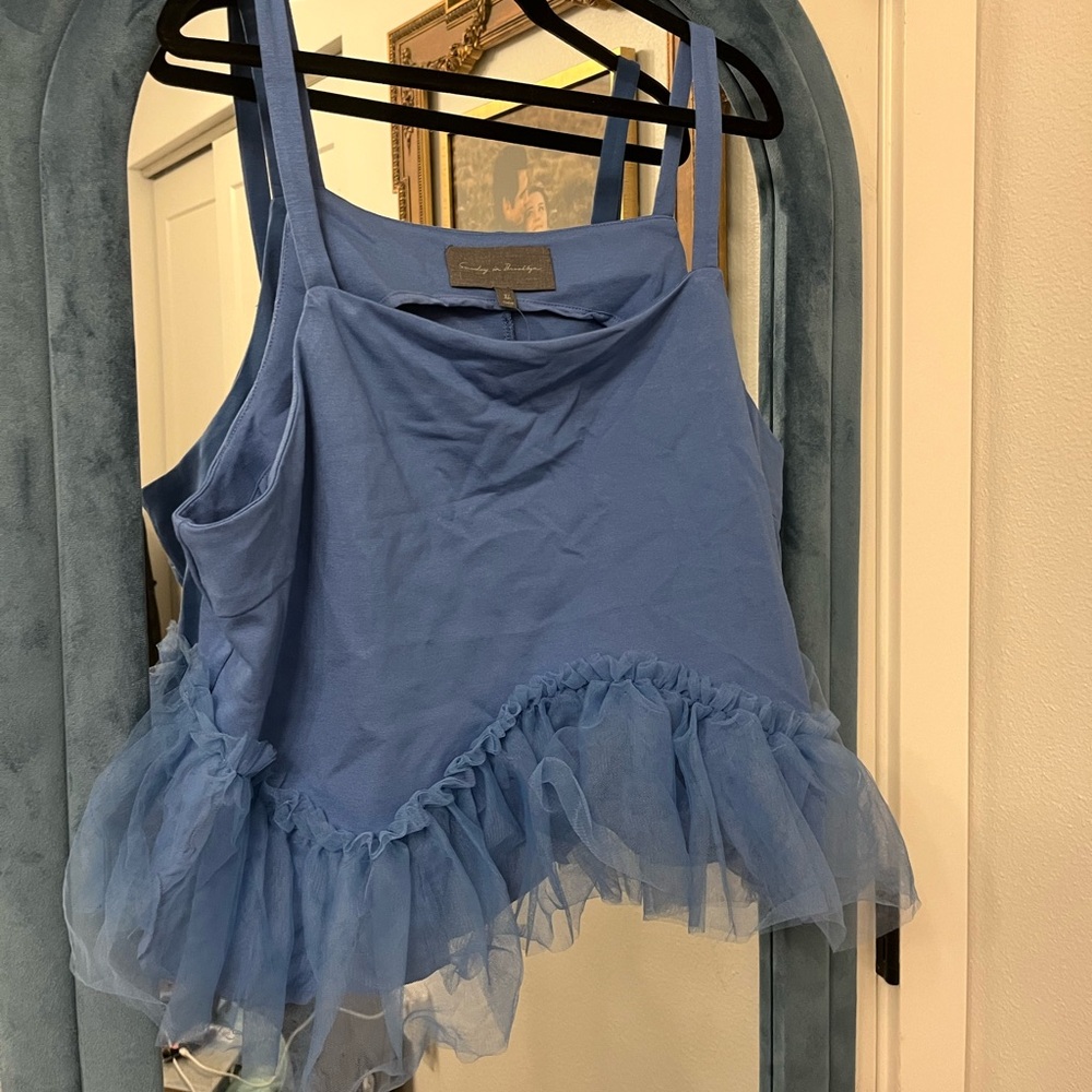 Cute little Anthropologie cropped tule top